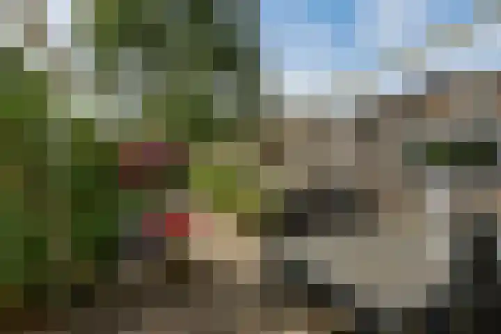Abersland 1728 Wijchen thumbnail 34