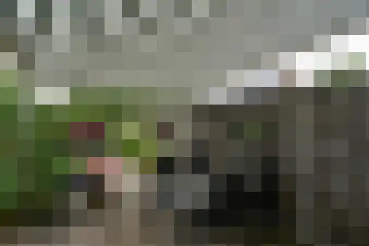 Abersland 1728 Wijchen thumbnail 35
