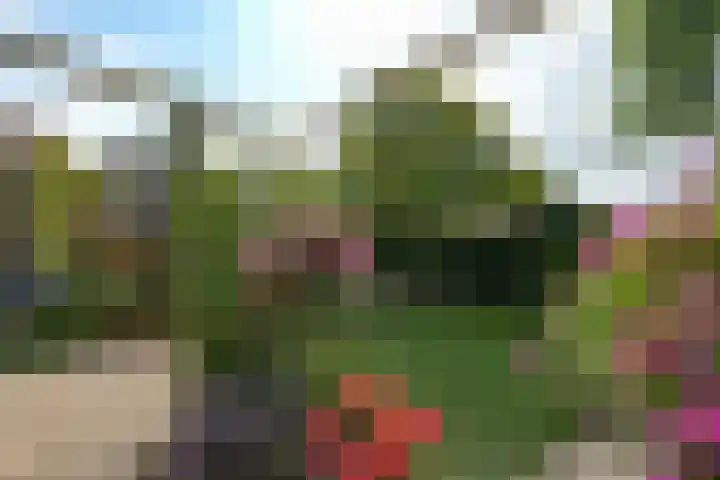 Abersland 1728 Wijchen thumbnail 36