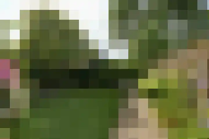 Abersland 1728 Wijchen thumbnail 37