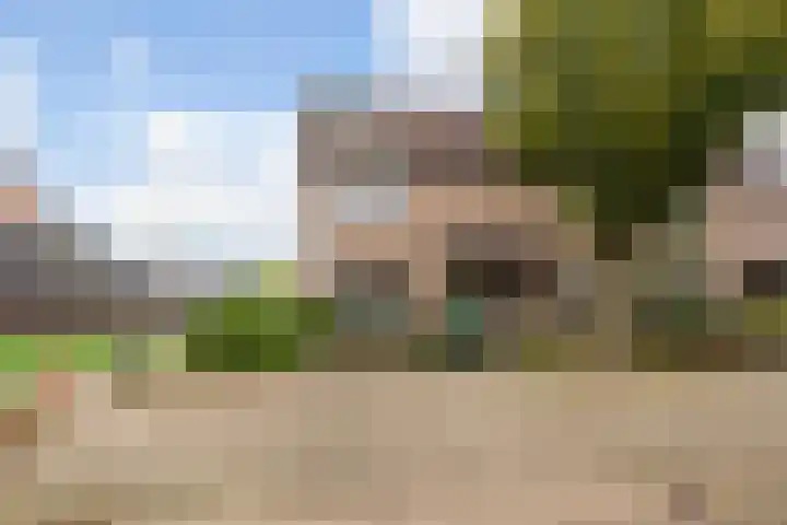 Abersland 1908 Wijchen thumbnail 33