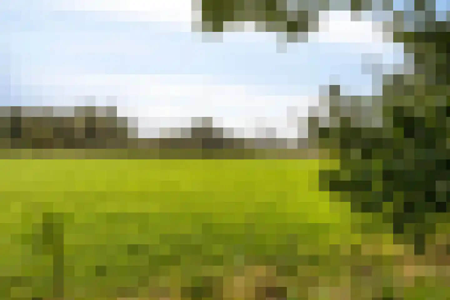Abersland 2925 Wijchen thumbnail 35