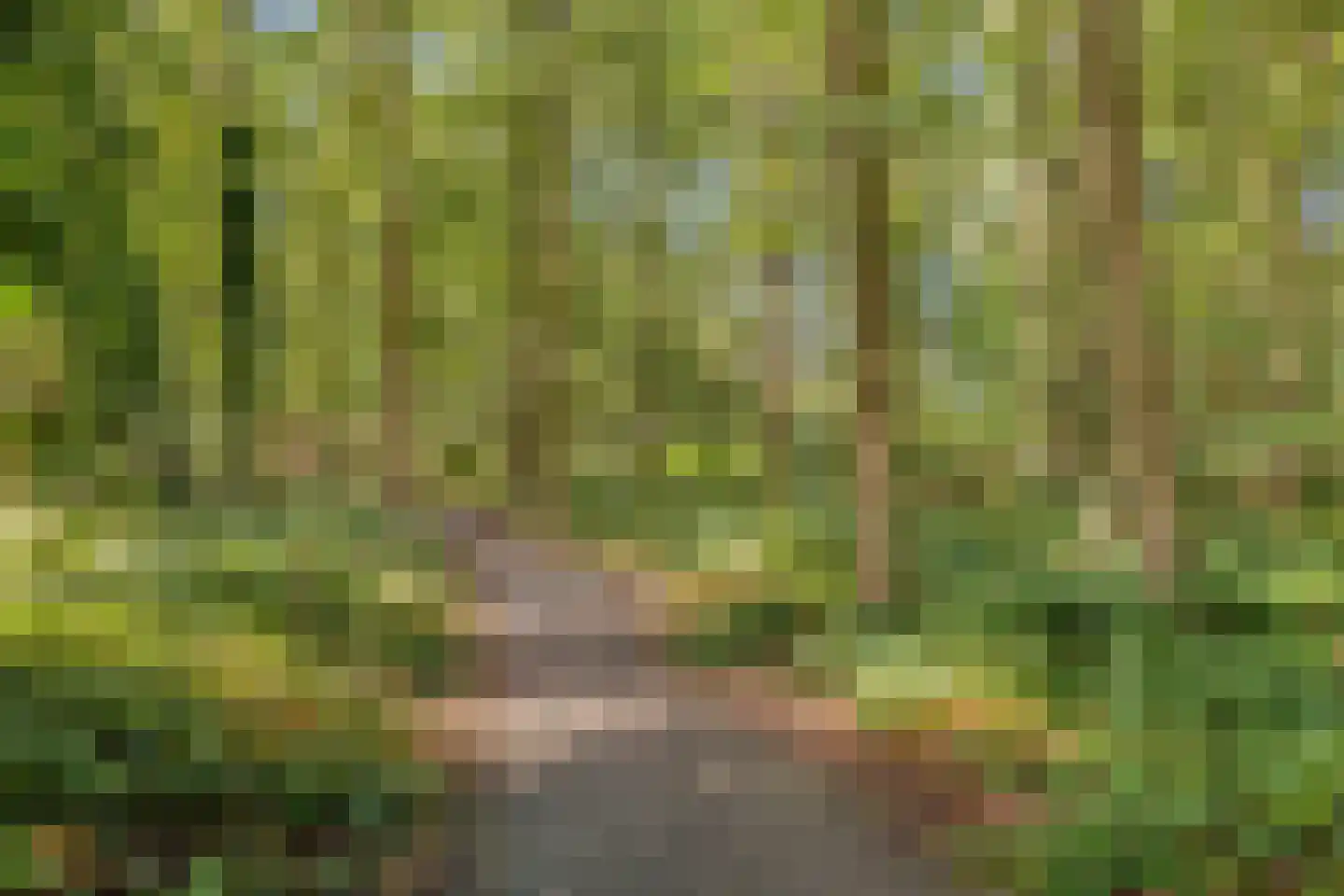 Abersland 2925 Wijchen thumbnail 37