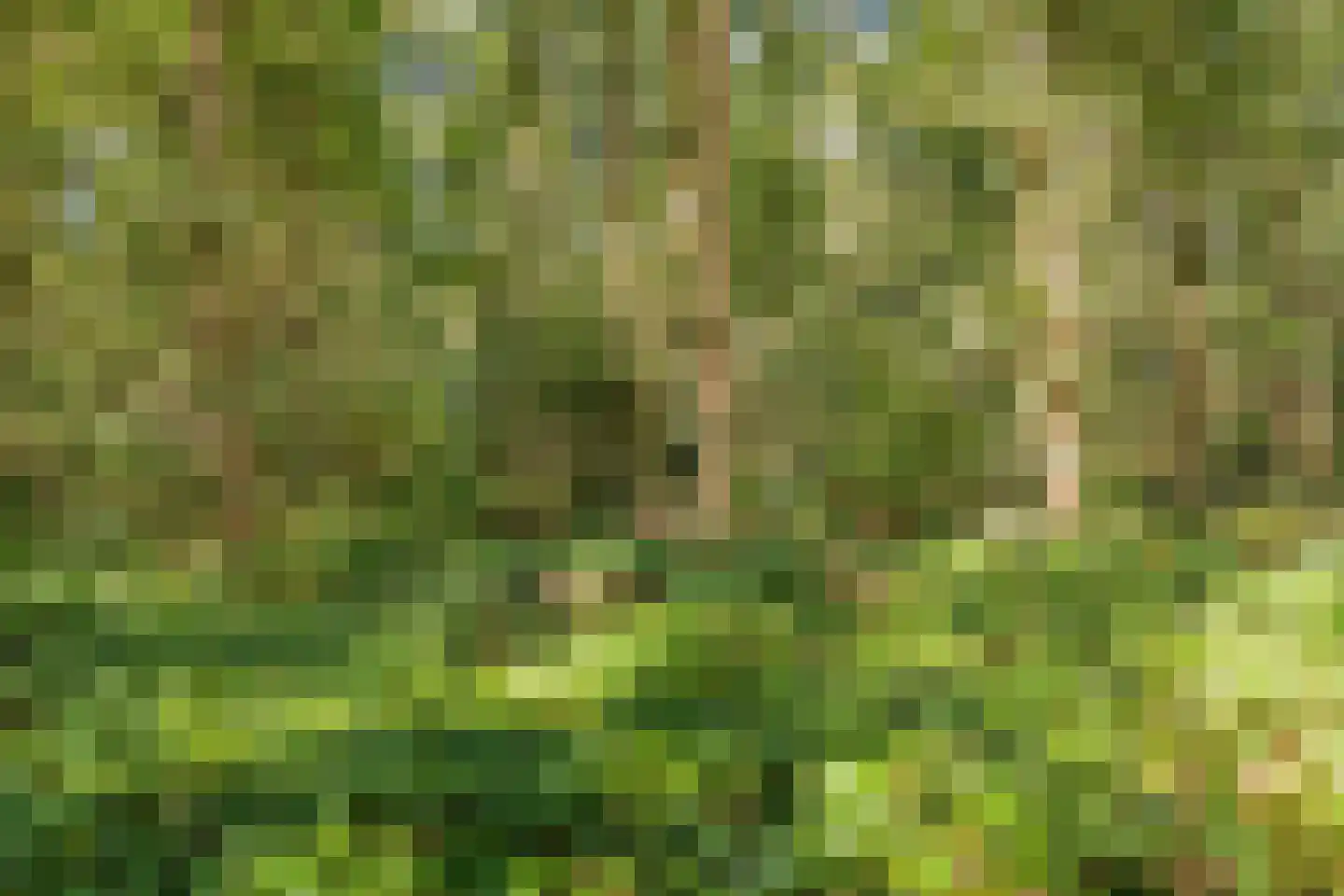 Abersland 2925 Wijchen thumbnail 38