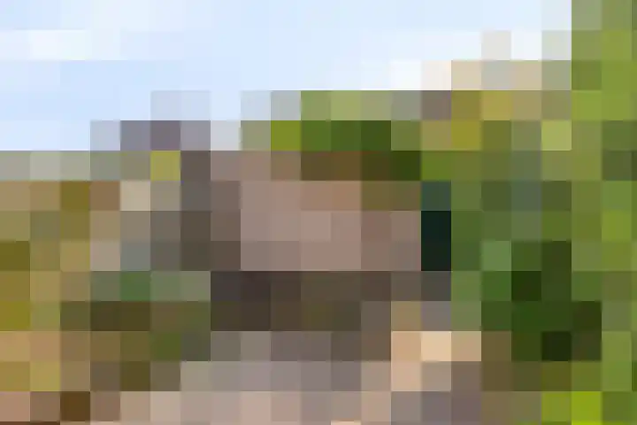 Abersland 3006 Wijchen thumbnail 28