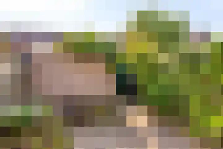 Abersland 3006 Wijchen thumbnail 29