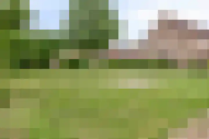 Abersland 3006 Wijchen thumbnail 31