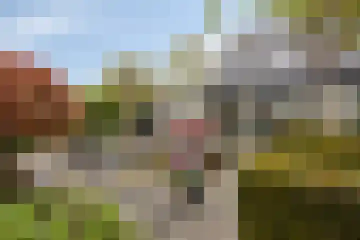 Abersland 3225 Wijchen thumbnail 23