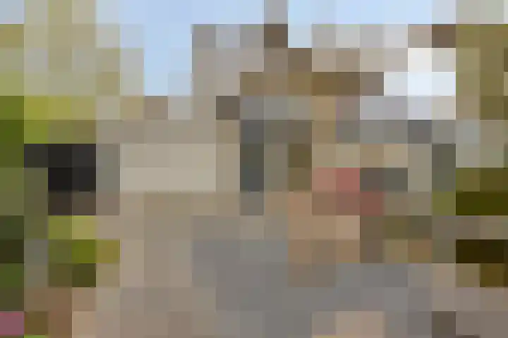 Abersland 3225 Wijchen thumbnail 24