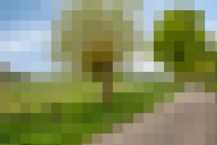 Abersland 3225 Wijchen thumbnail 31