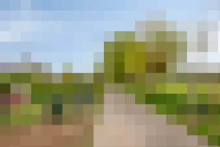 Abersland 3225 Wijchen thumbnail 32