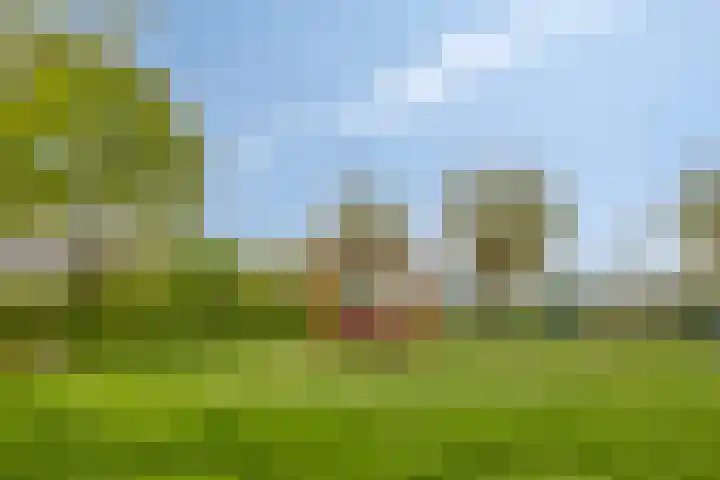 Abersland 3225 Wijchen thumbnail 33