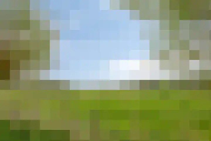 Abersland 3225 Wijchen thumbnail 34