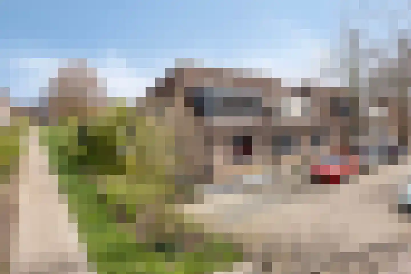 Abersland 3320 Wijchen thumbnail 25
