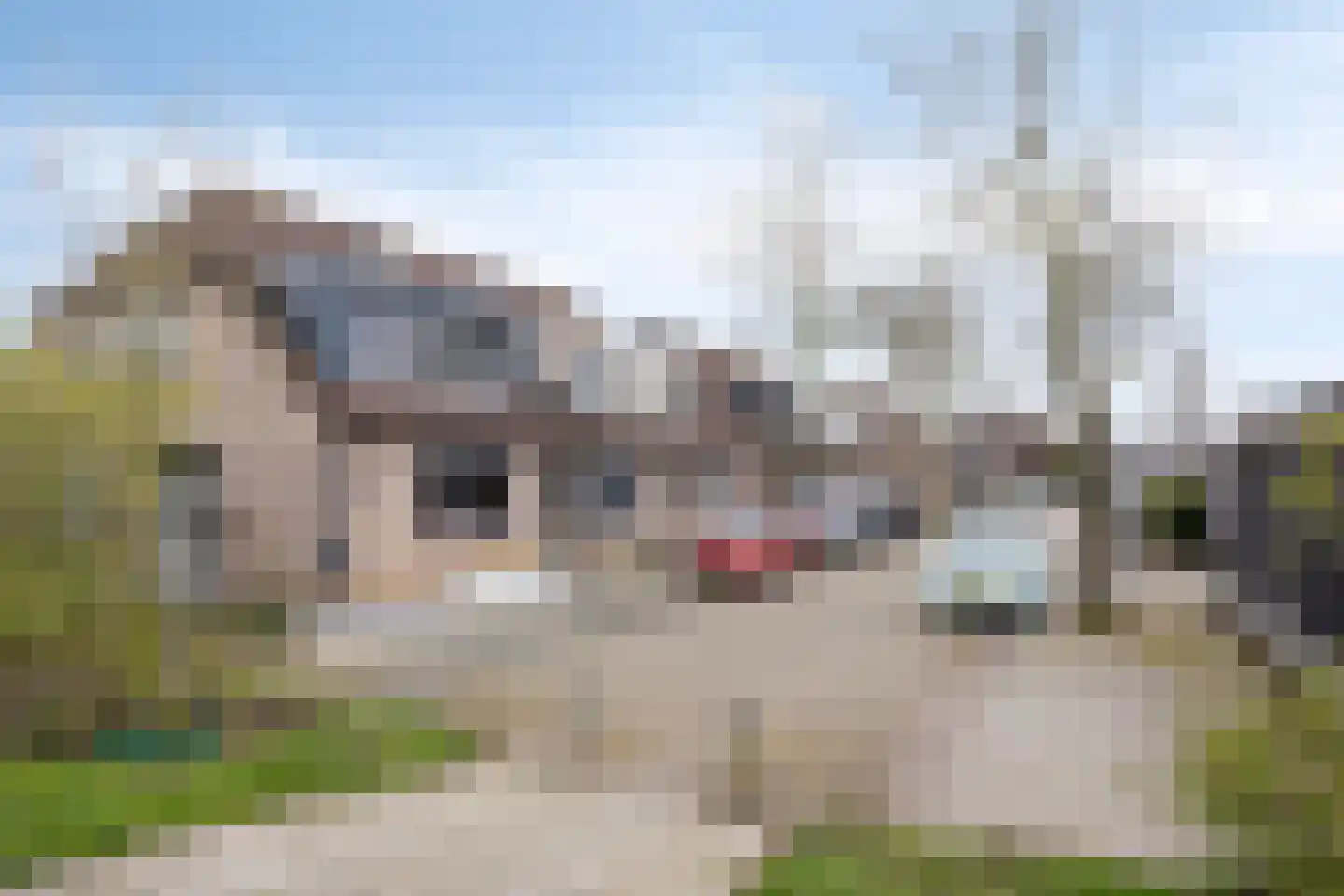 Abersland 3320 Wijchen thumbnail 26