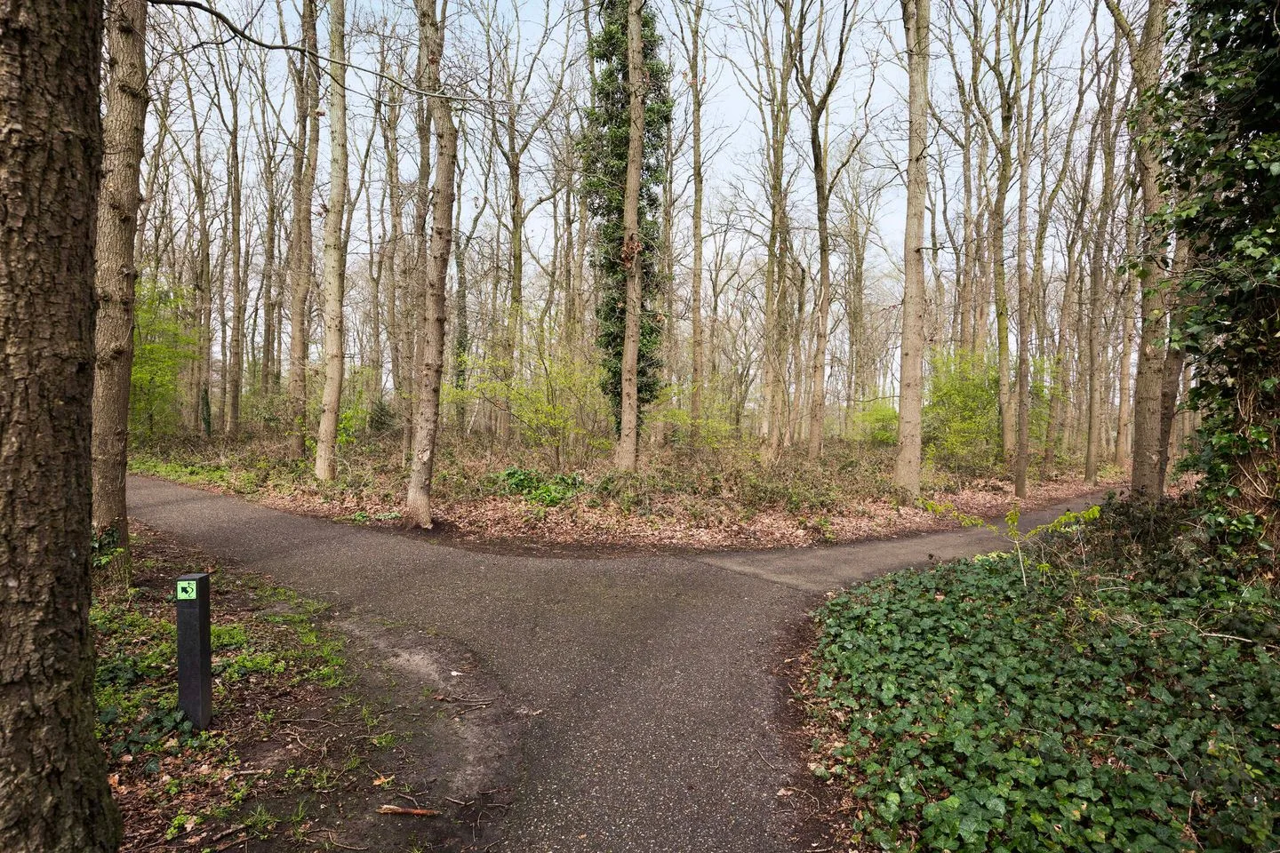 Abersland 3320 Wijchen thumbnail 28