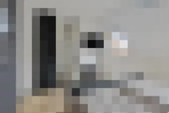 Abersland 3532 Wijchen thumbnail 26