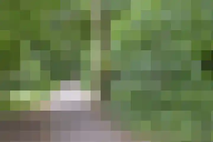 Abersland 3532 Wijchen thumbnail 37