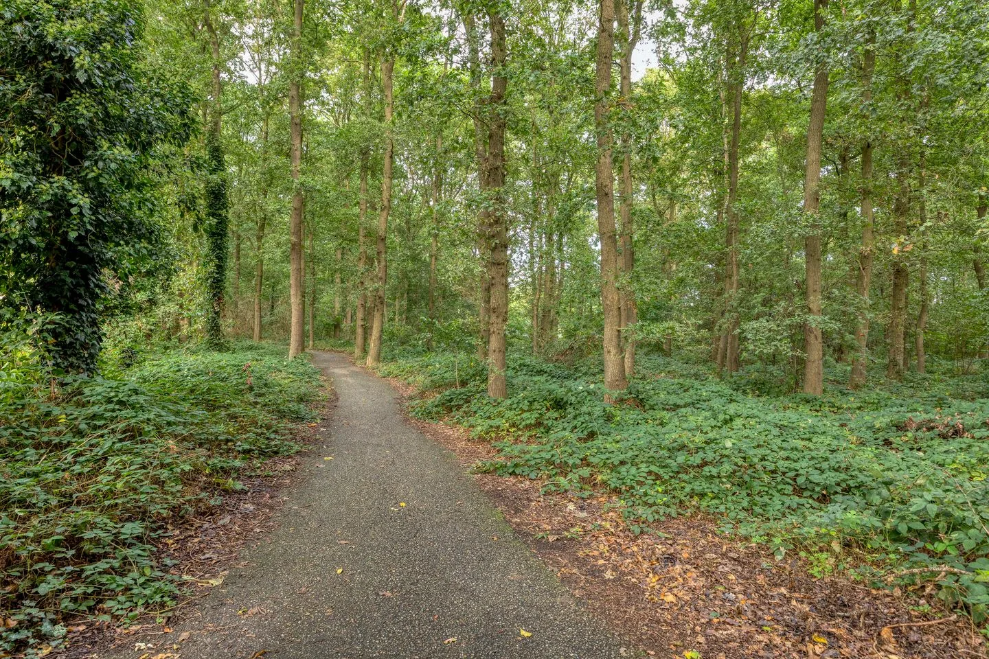 Abersland 3609 Wijchen thumbnail 37