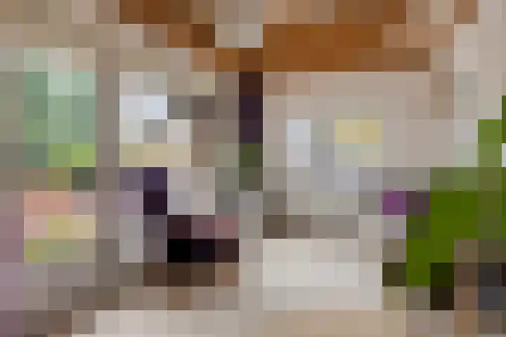Abersonlaan 1 Warnsveld thumbnail 25