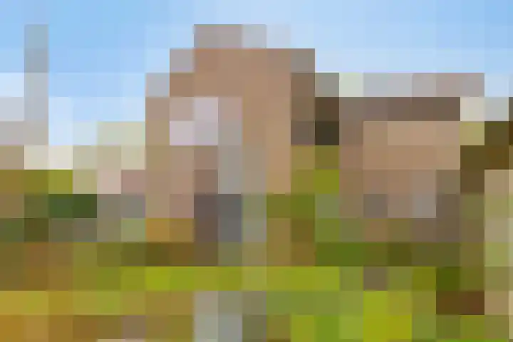 Abersonlaan 1 Warnsveld thumbnail 30