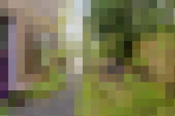 Abersonlaan 1 Warnsveld thumbnail 34