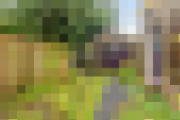 Abersonlaan 1 Warnsveld thumbnail 35