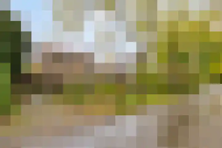Abersonlaan 1 Warnsveld thumbnail 37