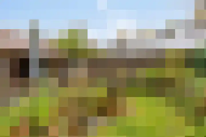 Abersonlaan 1 Warnsveld thumbnail 4