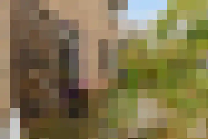 Abersonlaan 1 Warnsveld thumbnail 5
