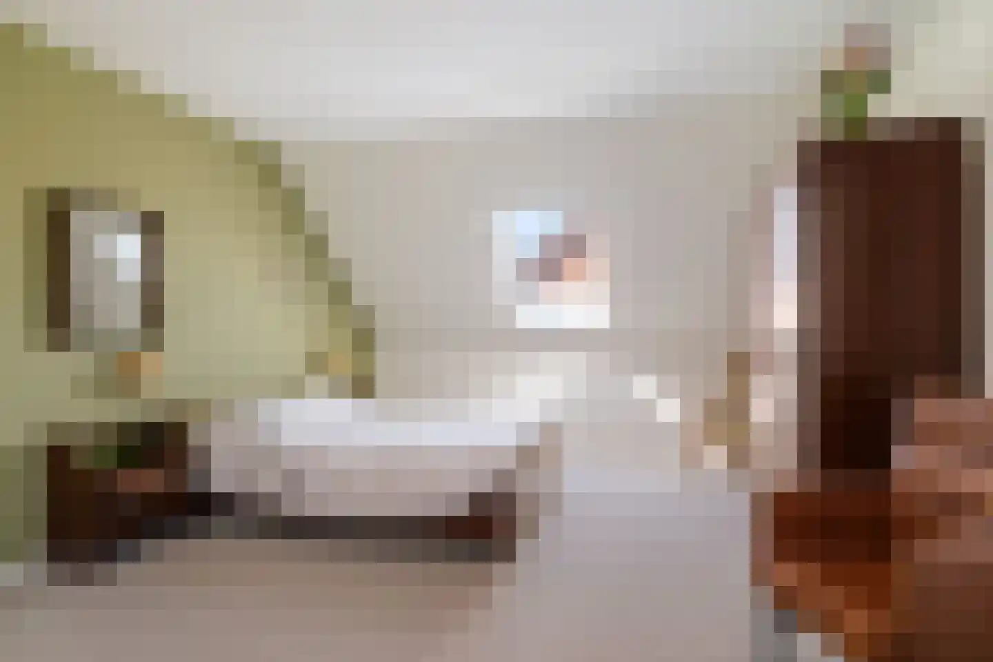 Abersonstraat 27 Olst thumbnail 25