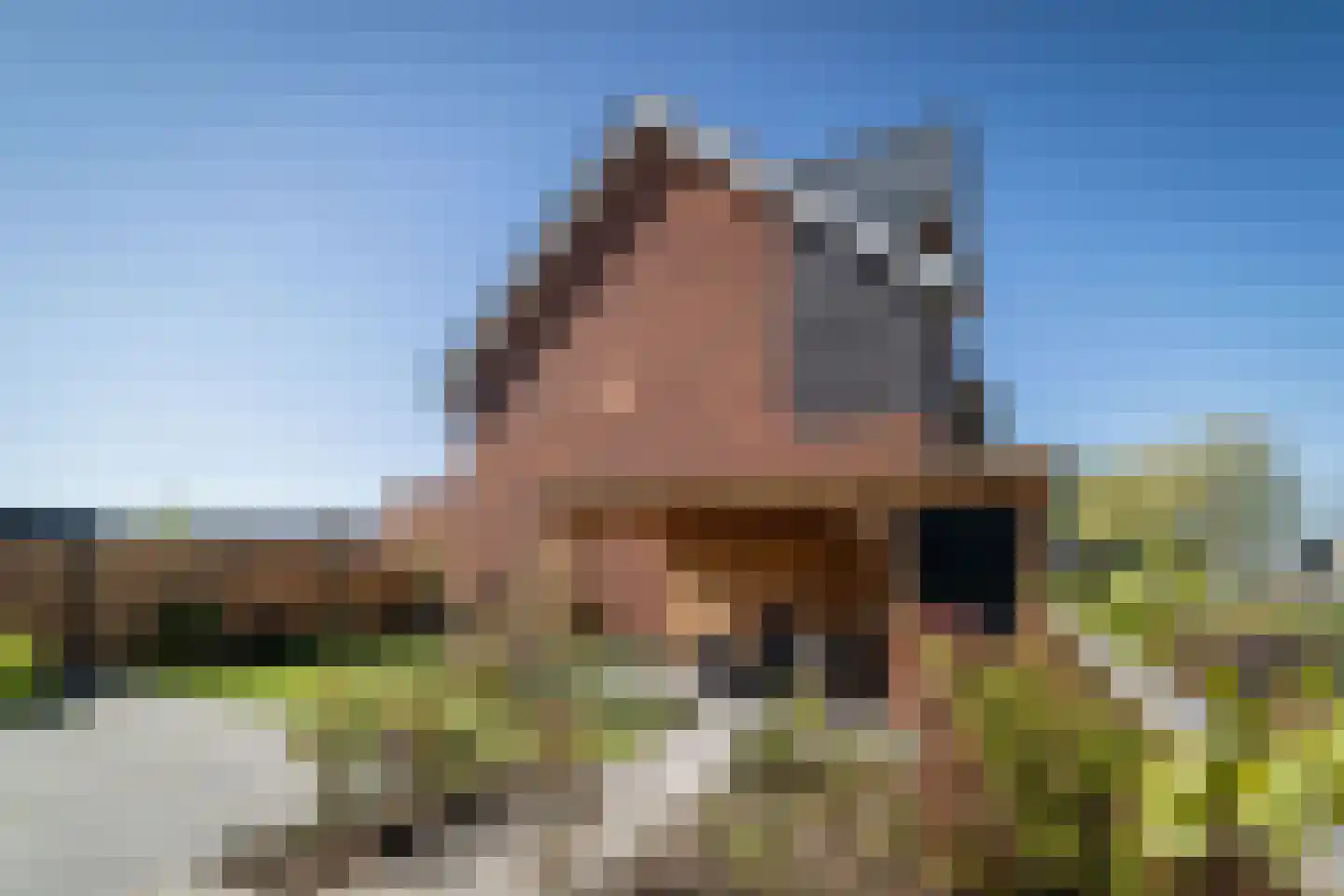 Abersonstraat 27 Olst thumbnail 33