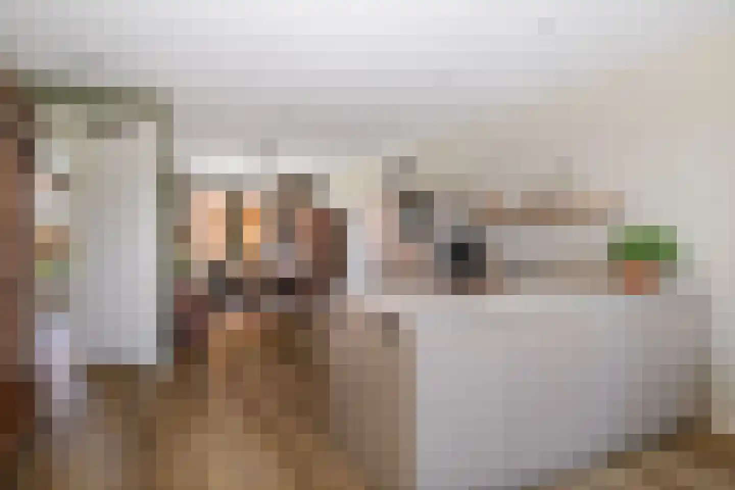 Abersonstraat 27 Olst thumbnail 5