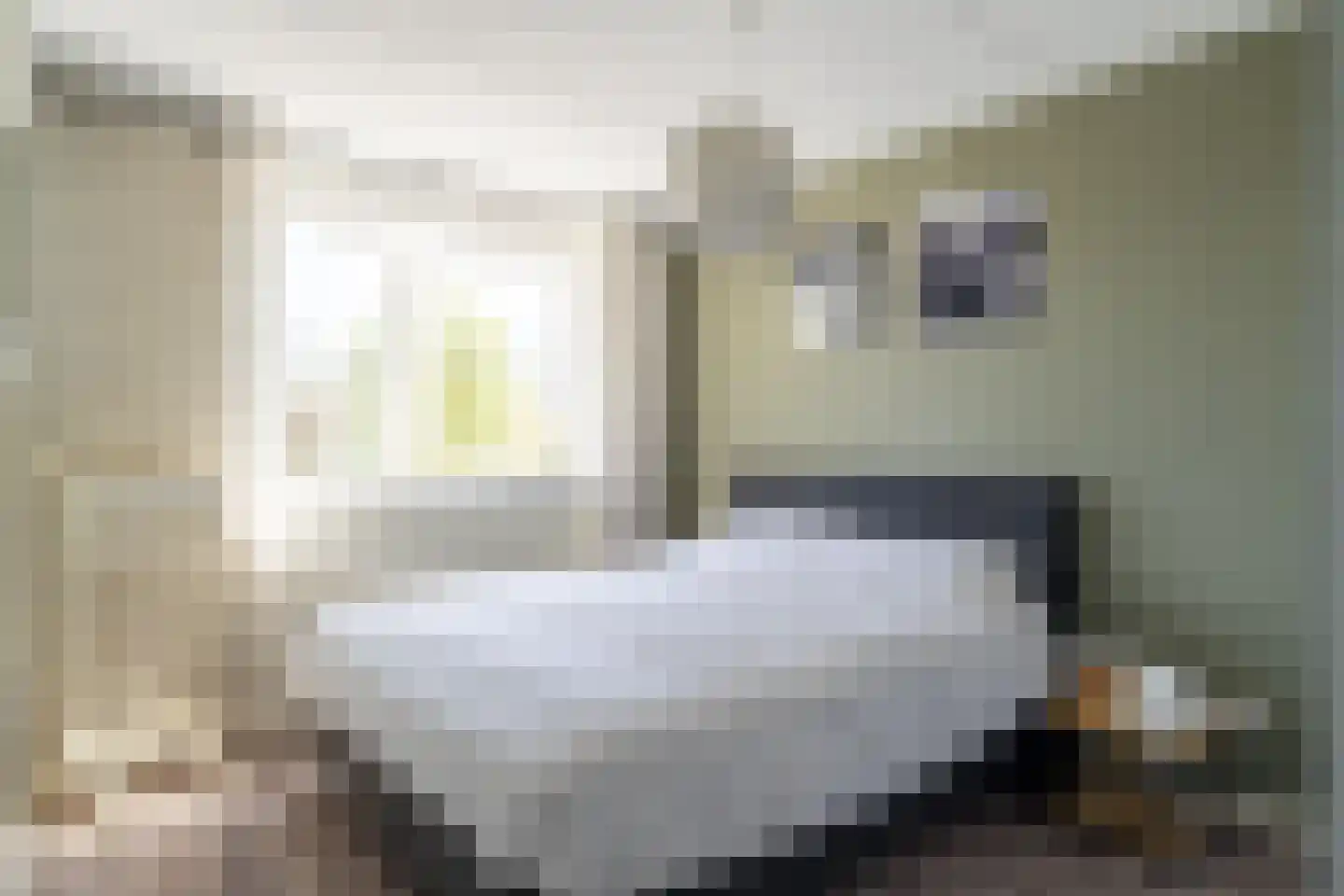 Abr.Kuyperstraat 14 Andel thumbnail 12