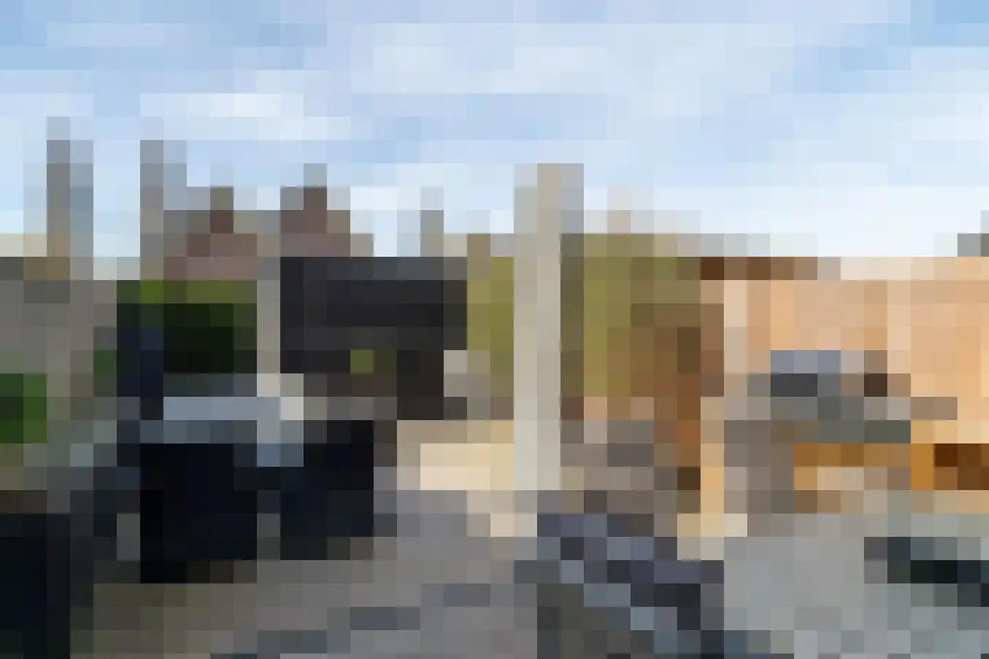 Abr.Kuyperstraat 14 Andel thumbnail 24