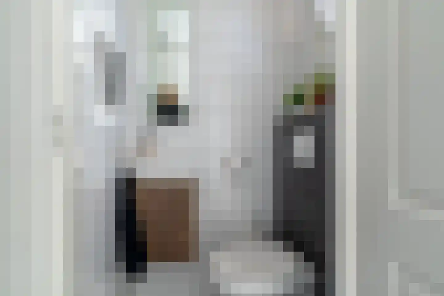 Abr.Kuyperstraat 14 Andel thumbnail 5