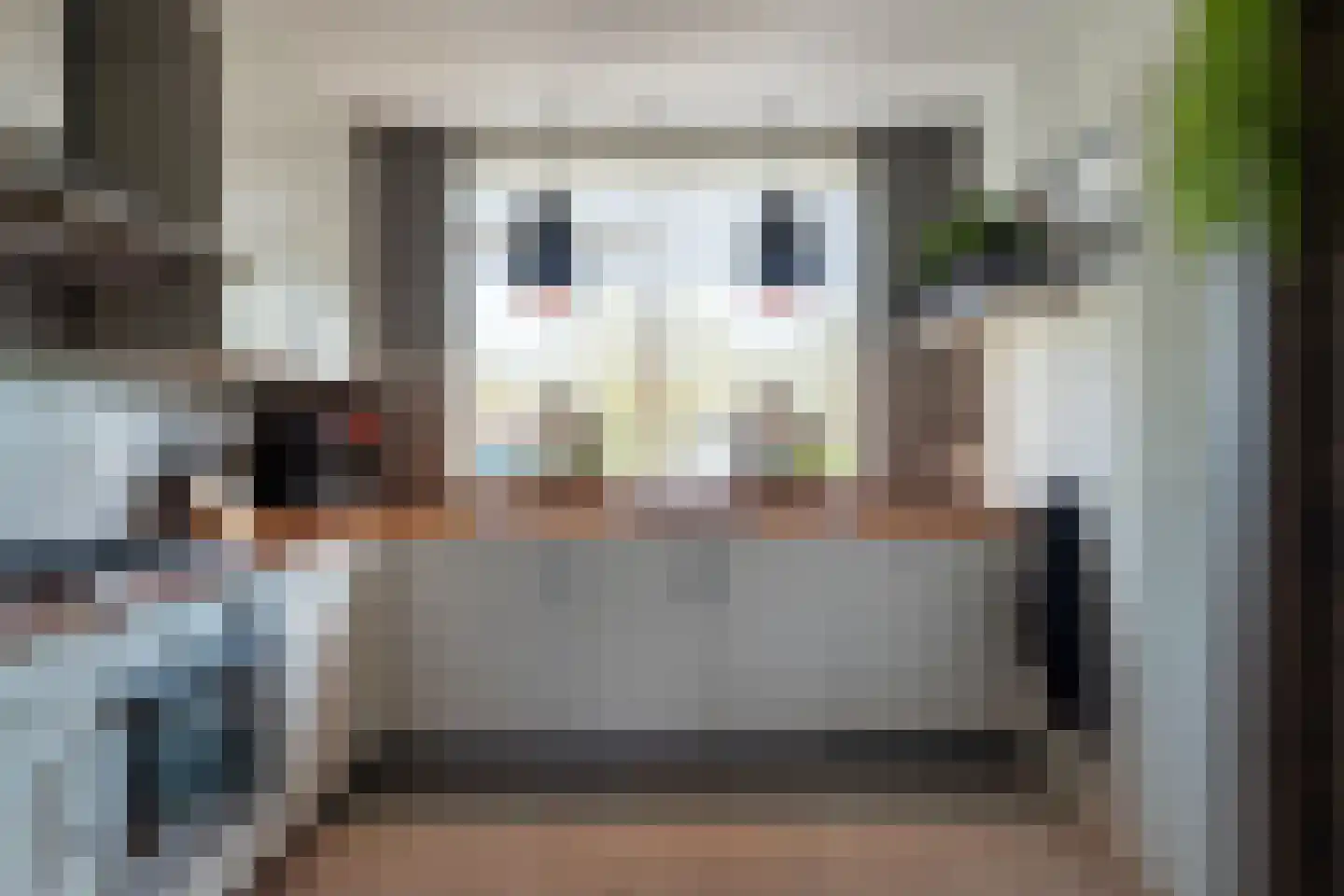 Abr.Kuyperstraat 14 Andel thumbnail 9