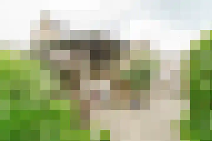 Abraham Blankaartsingel 17 Amersfoort thumbnail 10