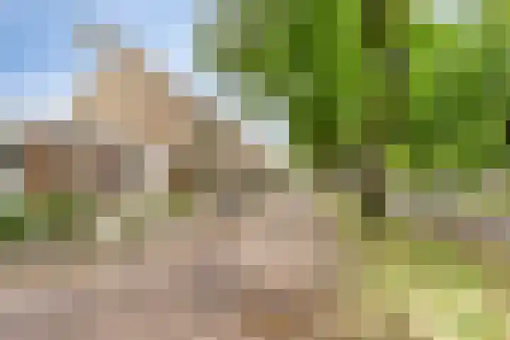 Abraham Blankaartsingel 93 Amersfoort thumbnail 19