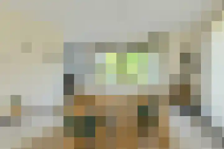 Abraham Bloemaerthoek 10 Oosterhout thumbnail 11