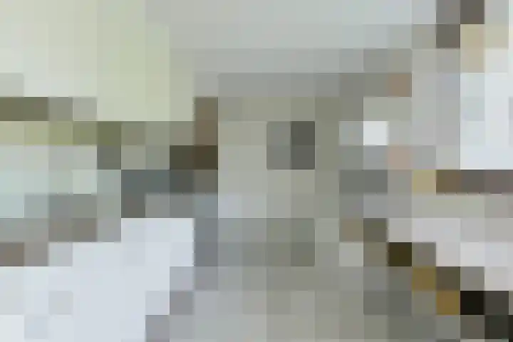 Abraham Bloemaerthoek 10 Oosterhout thumbnail 13