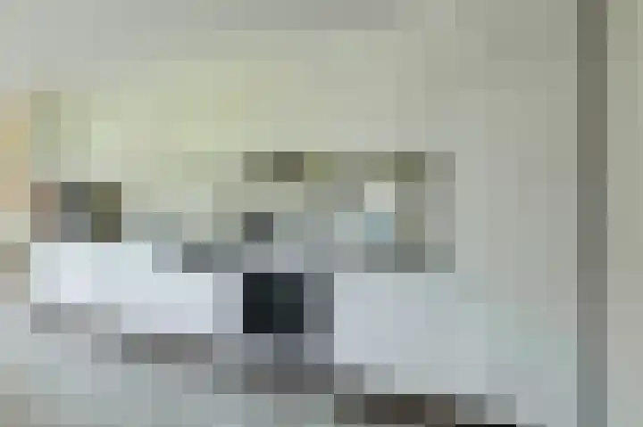 Abraham Bloemaerthoek 10 Oosterhout thumbnail 14