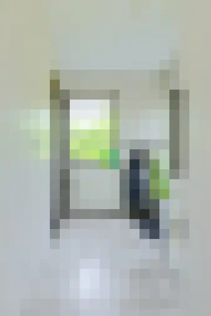 Abraham Bloemaerthoek 10 Oosterhout thumbnail 15