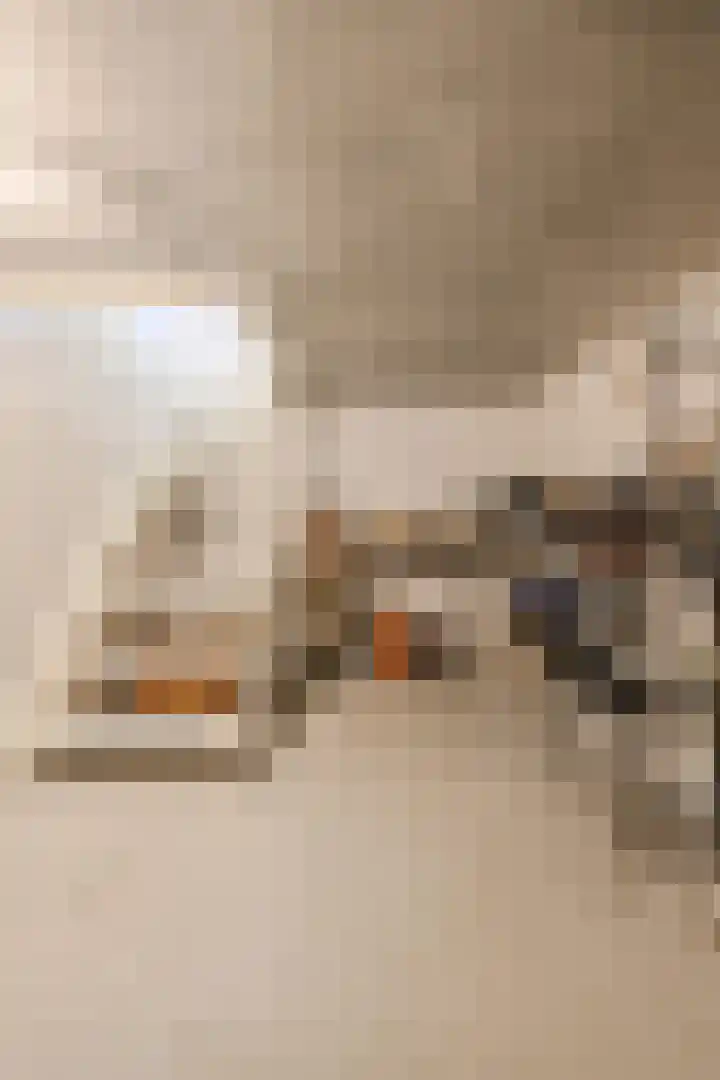 Abraham Bloemaerthoek 10 Oosterhout thumbnail 16