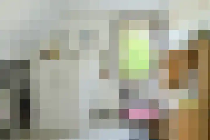 Abraham Bloemaerthoek 10 Oosterhout thumbnail 22