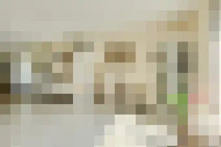 Abraham Bloemaerthoek 10 Oosterhout thumbnail 9