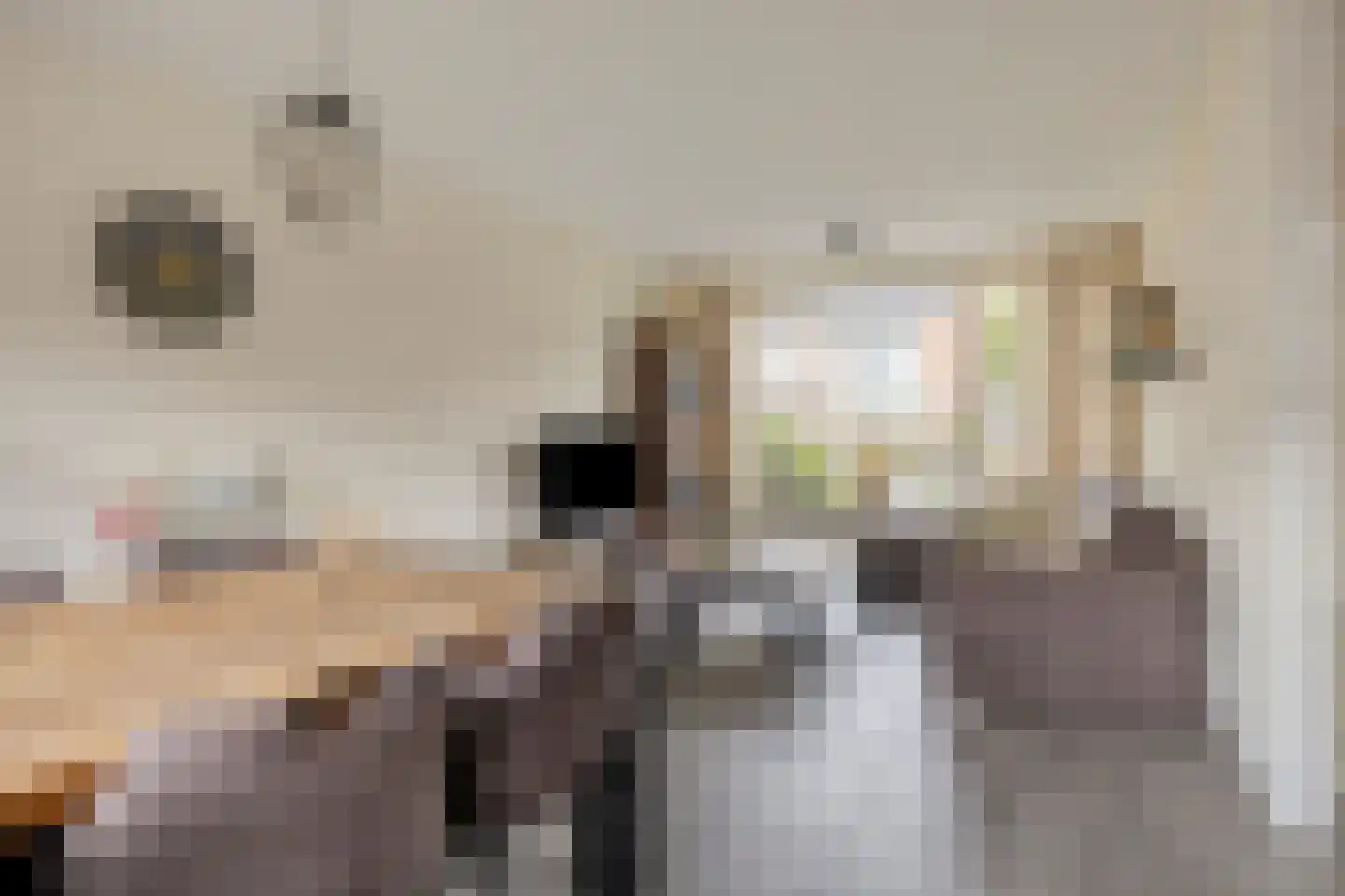 Abraham Bloemaertstraat 14 Boxmeer thumbnail 12