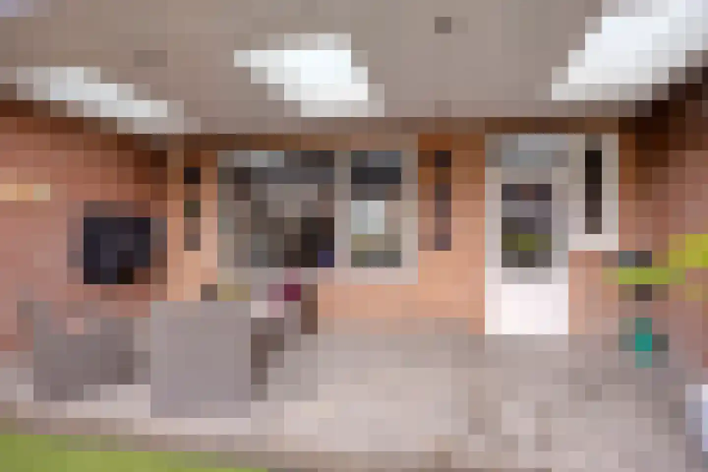 Abraham Bloemaertstraat 14 Boxmeer thumbnail 28