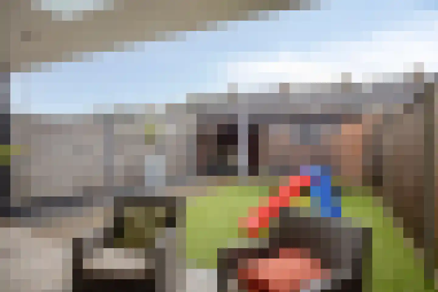 Abraham Bloemaertstraat 14 Boxmeer thumbnail 30
