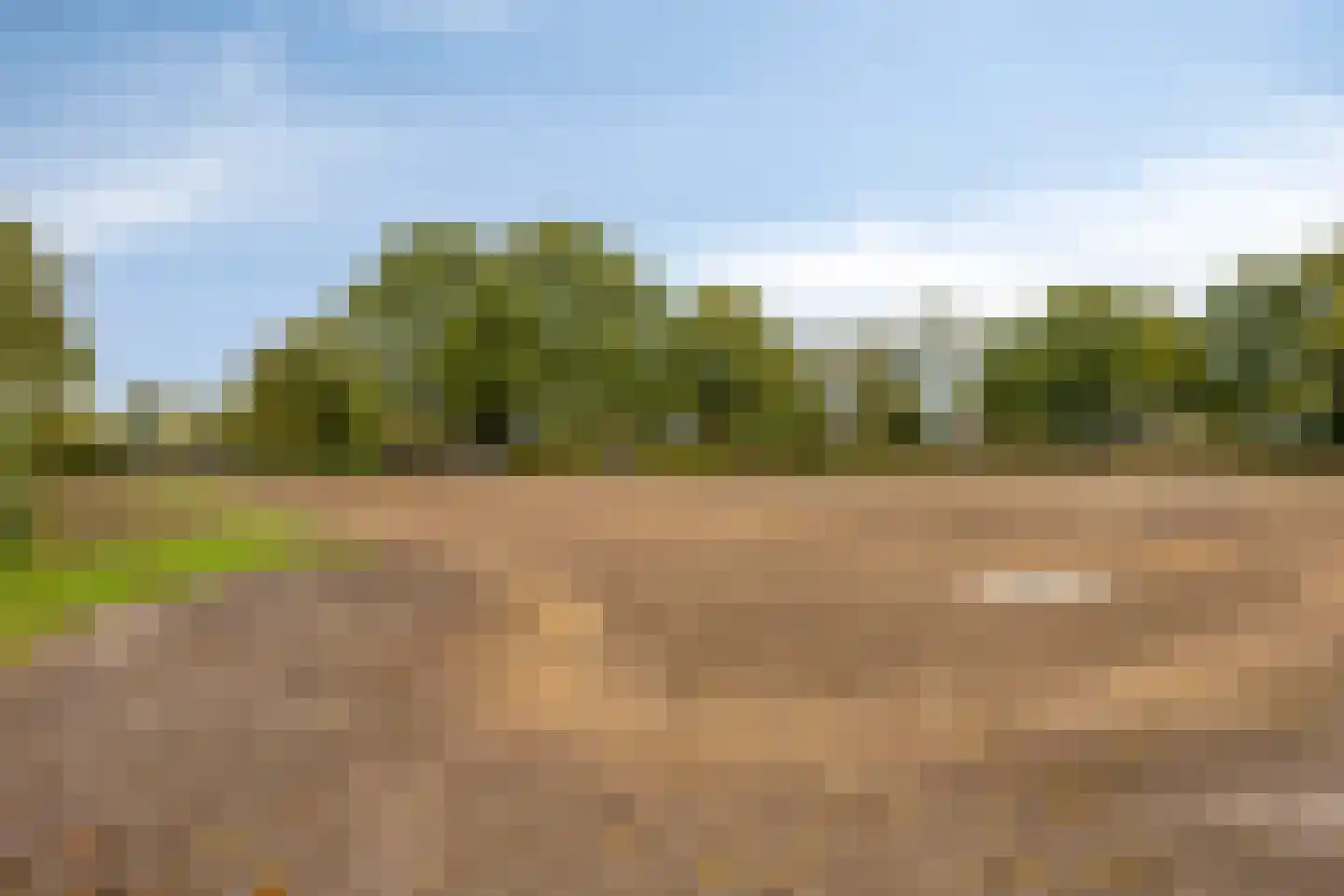 Abraham Bloemaertstraat 14 Boxmeer thumbnail 37